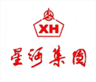 星河集团